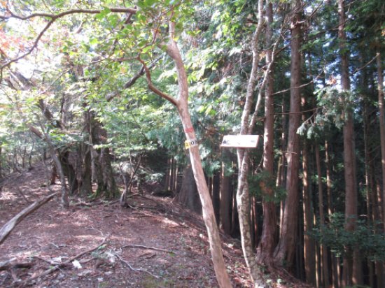 画像48